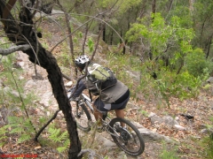 20070114-Coba 321 